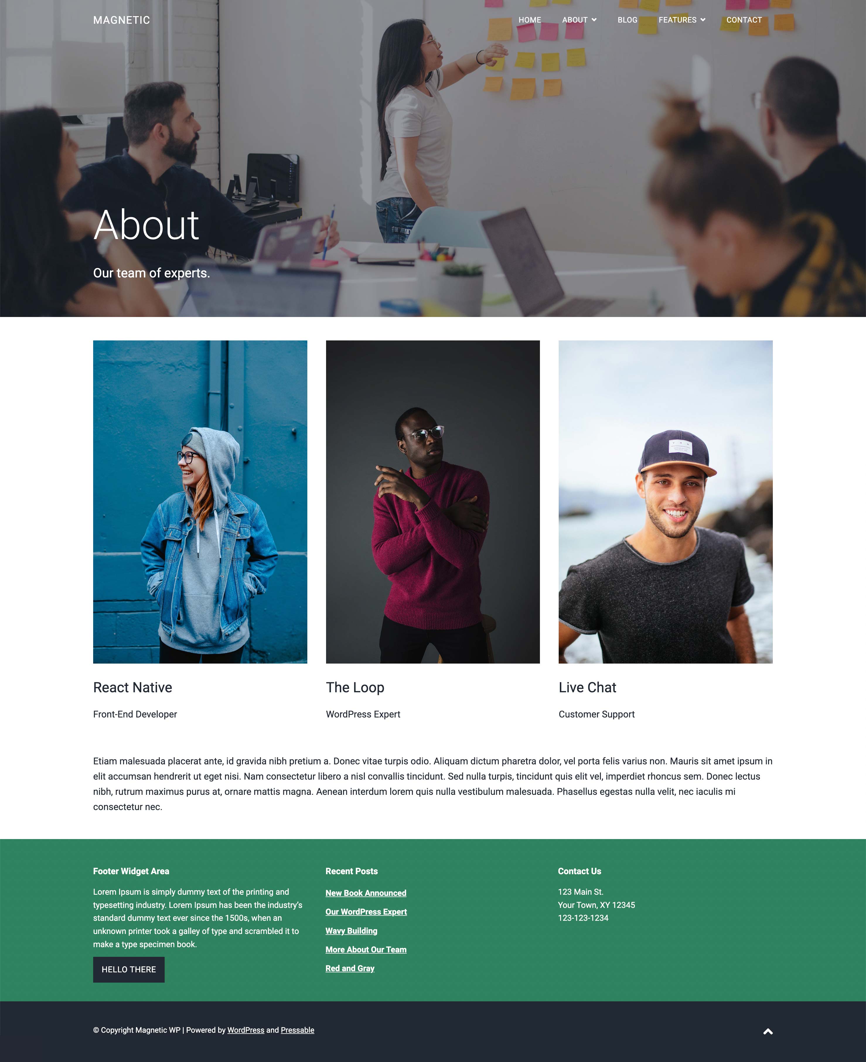 Magnetic WP about page